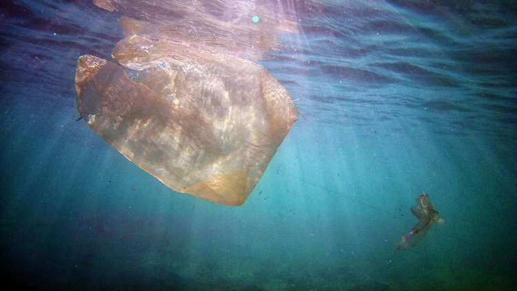 Dugi otok, plastika, onesnaženje