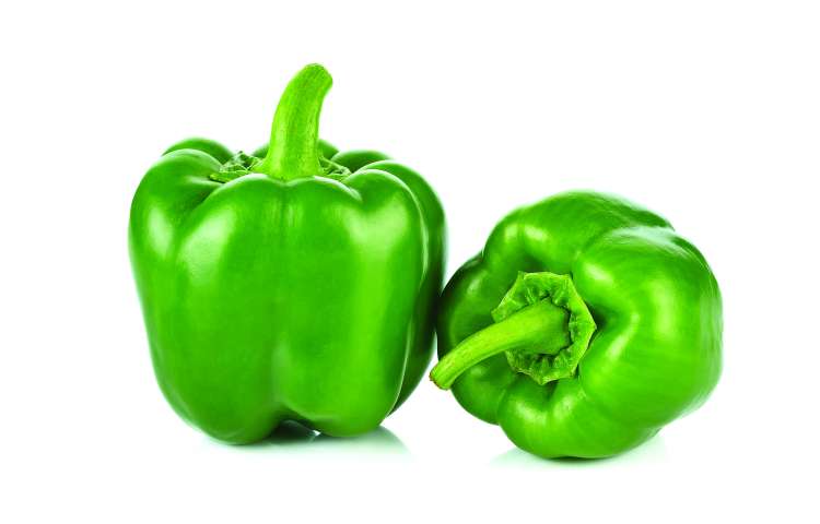 komat paprika.jpg