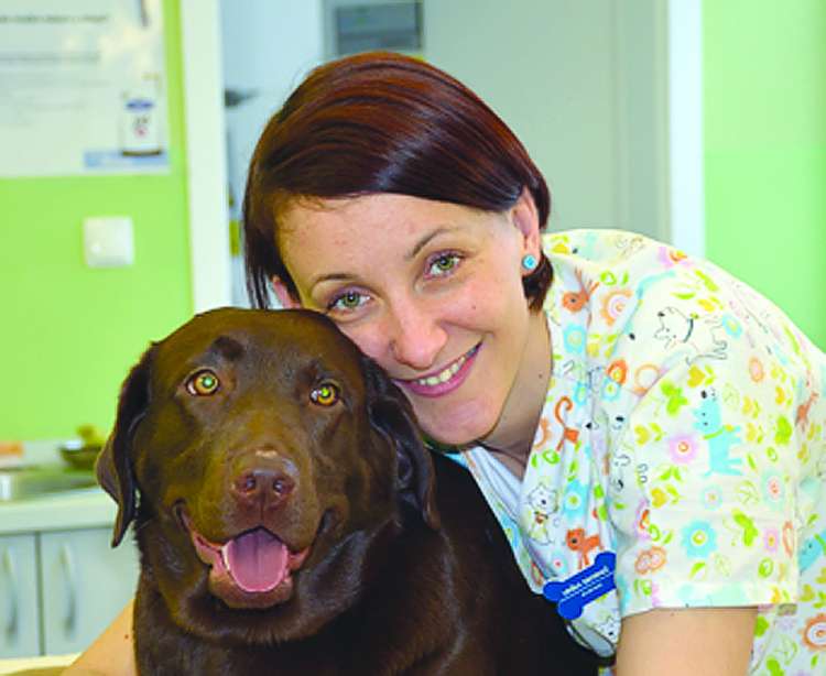 veterinarji urska-drobnic.jpg