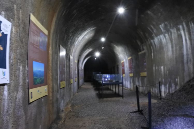RAZSTAVA RUPNIKOVE LINIJE
