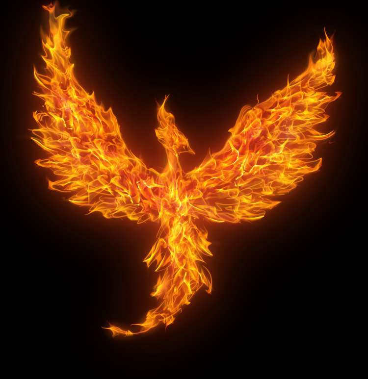 fenix.jpg