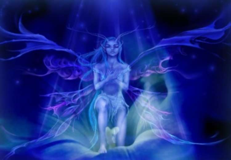 angeli