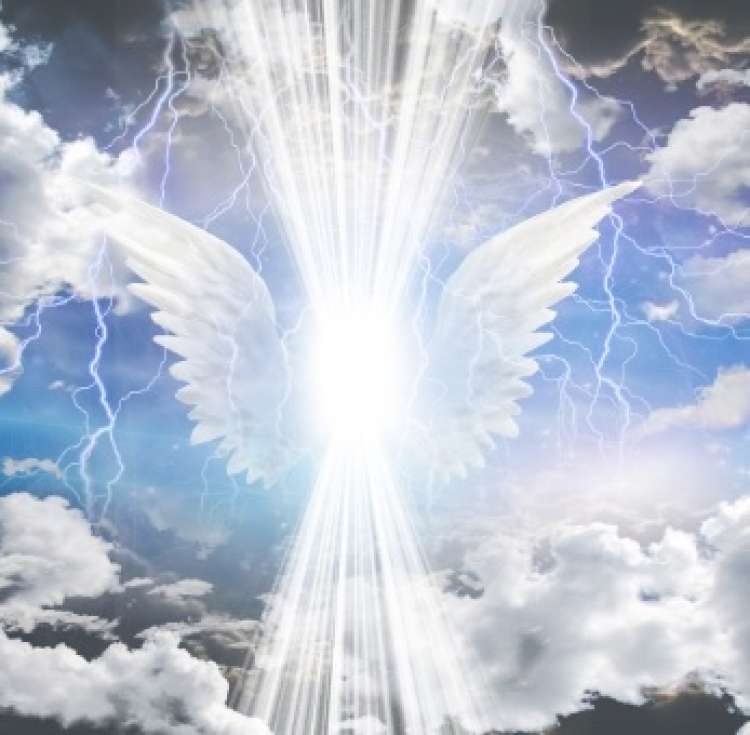 Angeli1