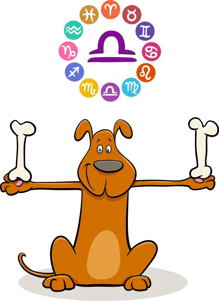 tehtnica
