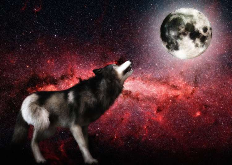 volk, luna