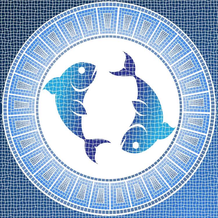 12 ribi