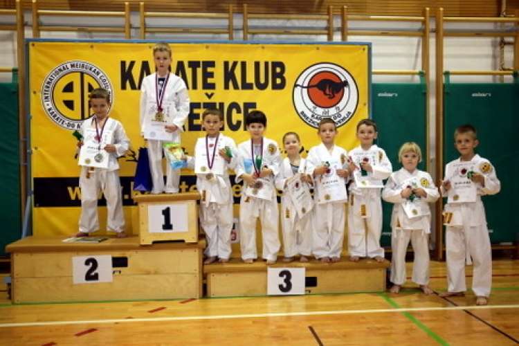 Mladi upi brežiškega in slovenskega karateja.jpg