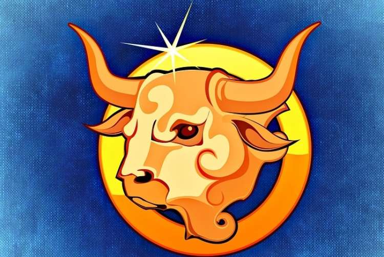 horoskop bik bull-759381_960_720.jpg