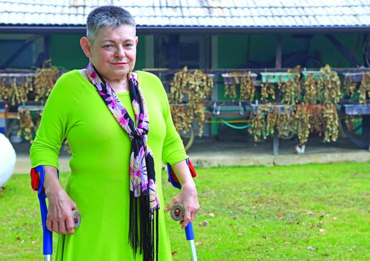 evtanazija alenka curin janzekovic.jpg
