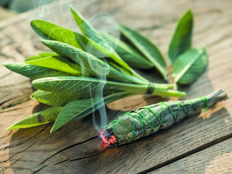 aromaterapija zajbelj.jpg