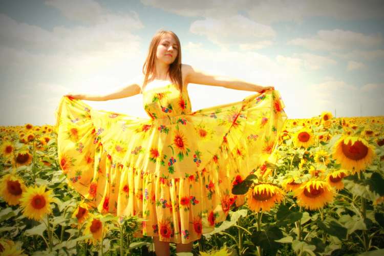 sunflower-834992