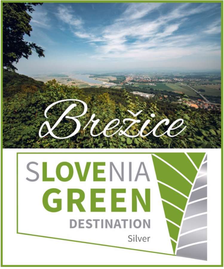 Slovenia Green Silver Brežice