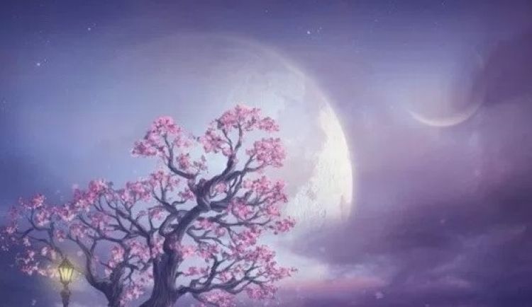Luna.jpg