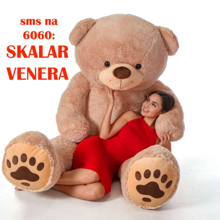 Beyond_Life_Size_Teddy_Hugs_7_foot_Tall_Teddy_Bear__64505.1541888353