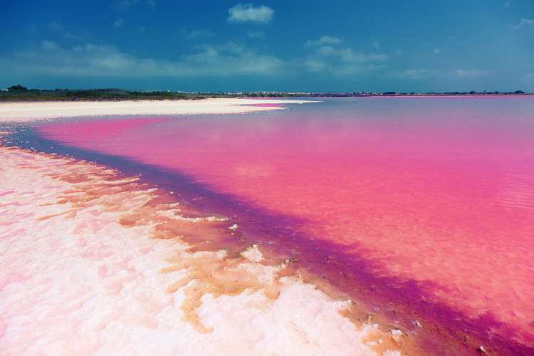 Torrevieja jezero.jpg