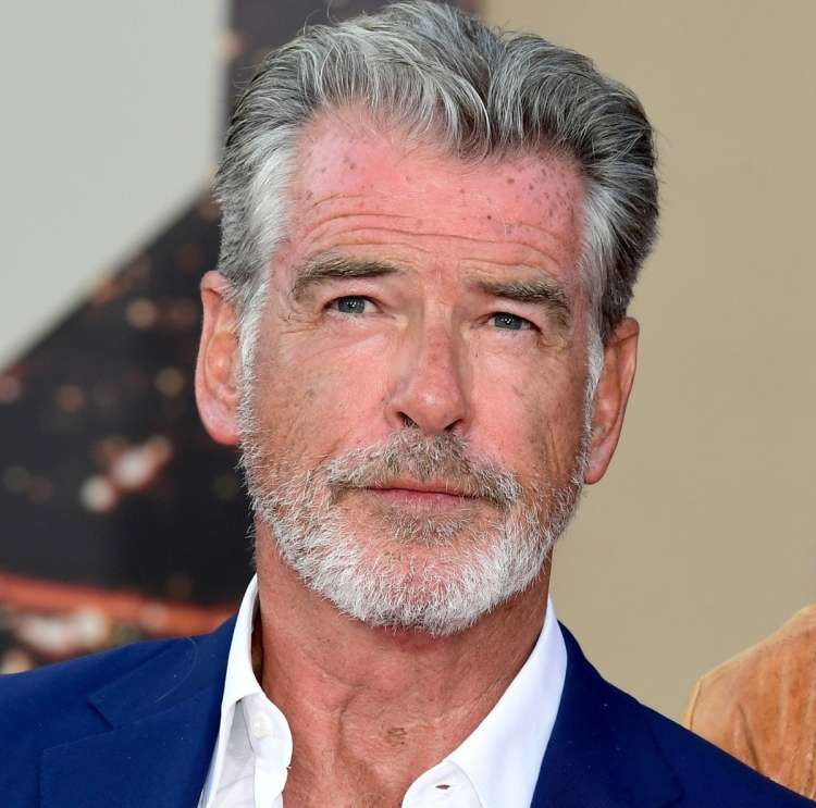 pierce brosnan profimedia-0460264773.jpg