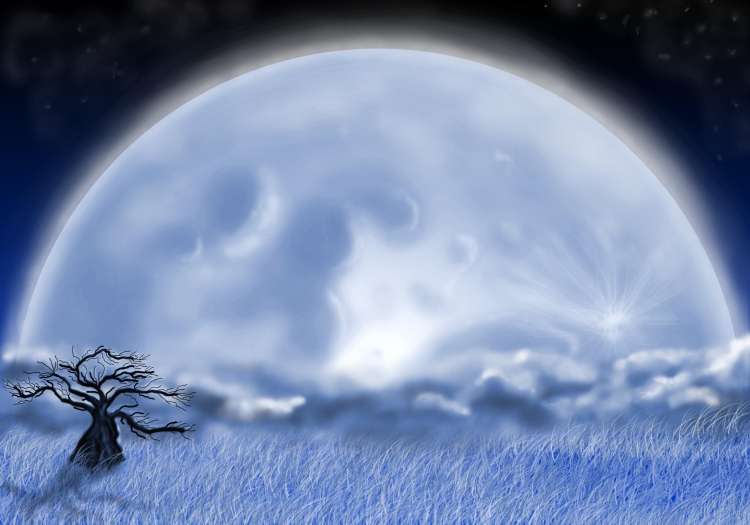 polna luna