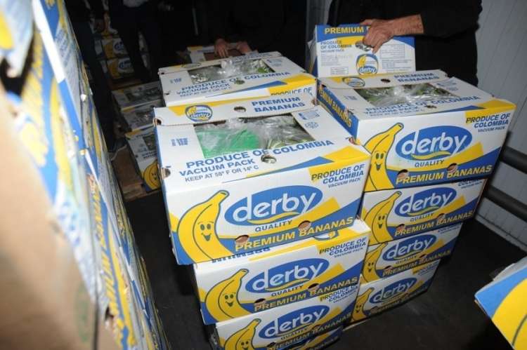 derby