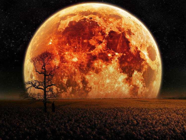 polna luna