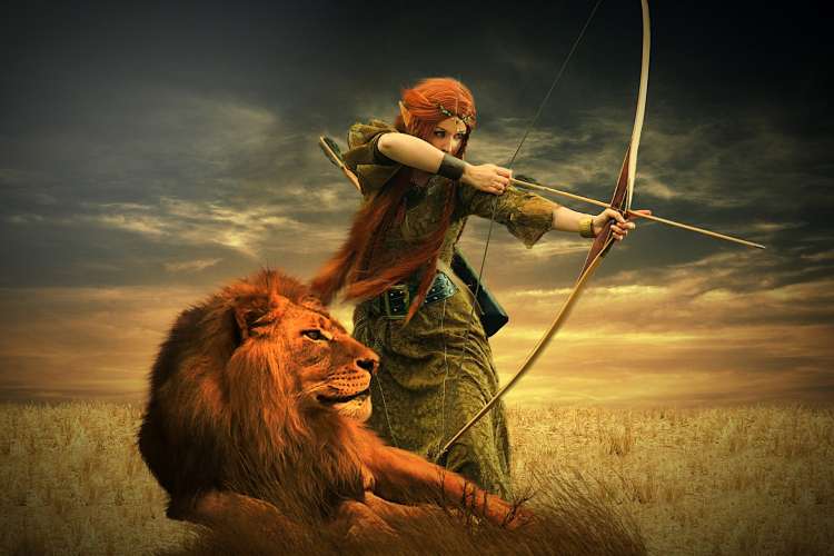 lion-4098784_1920.jpg