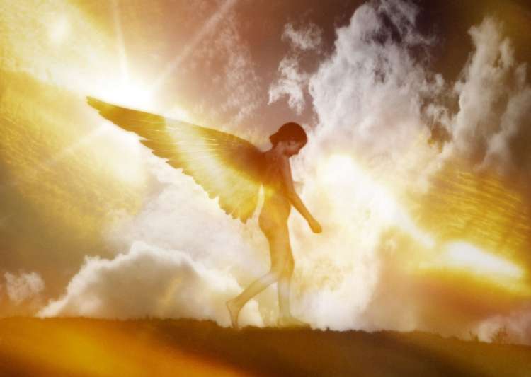 angel