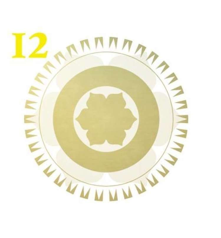 12. hiša.jpg