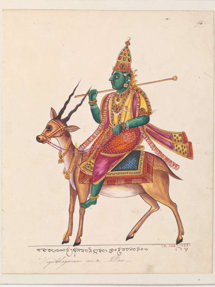 vaju.jpg