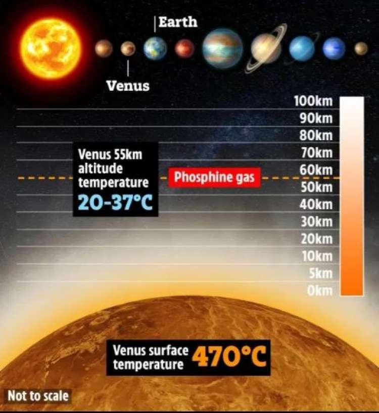 venera2.JPG