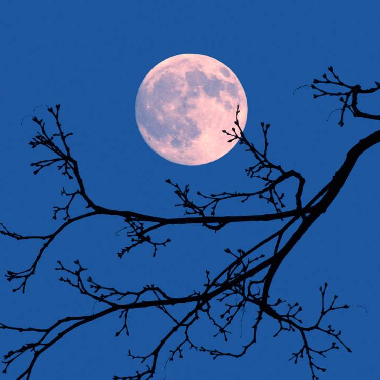 polna luna.jpg