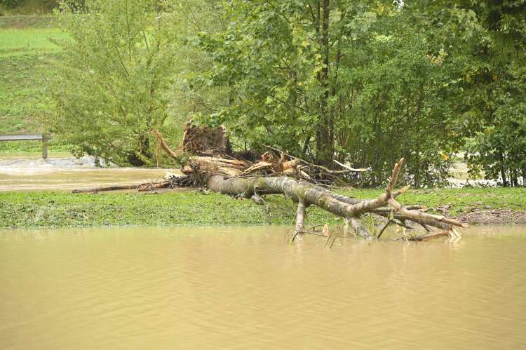 žiri, poljanska-sora, poplave