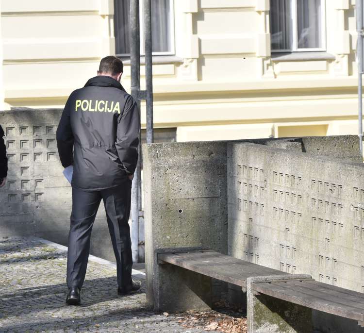 policija, kriminalist