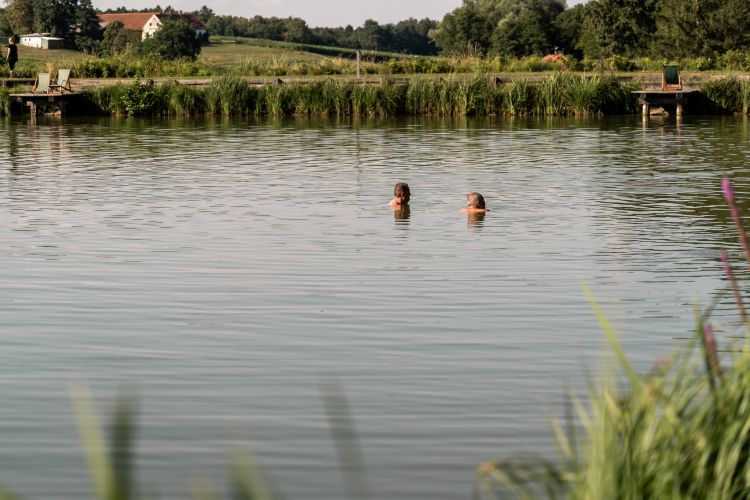 blaguško-jezero, kopanje, poletje, sup, jezero