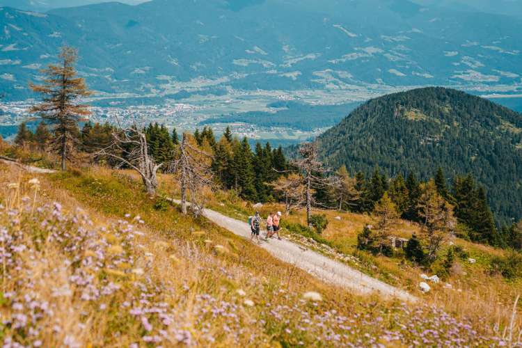 gremo-v-hribe, gvh, laško, pivovarna-laško, uršlja-gora, planica, aktual