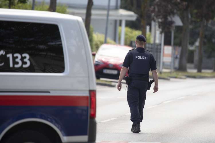 avstrijska policija, splošna