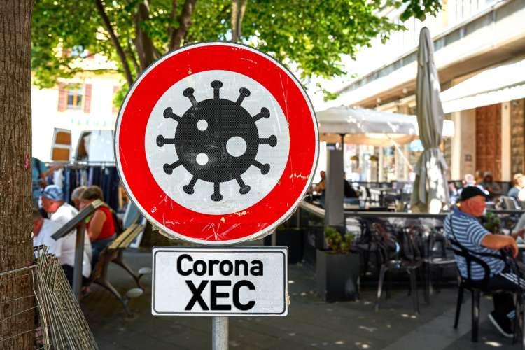 koronavirus, xec