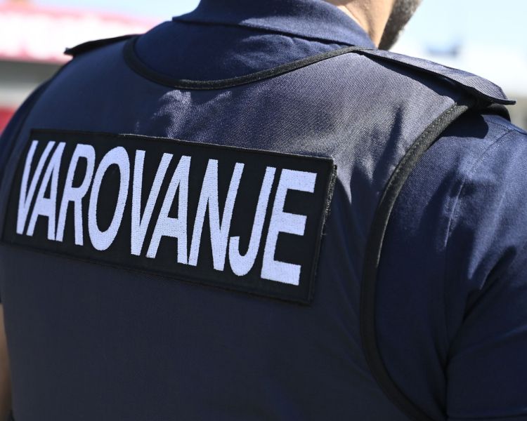 varovanje, varnostnik