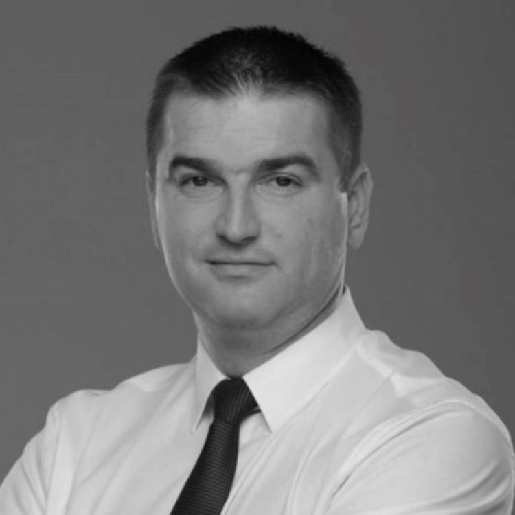 srđan todorović