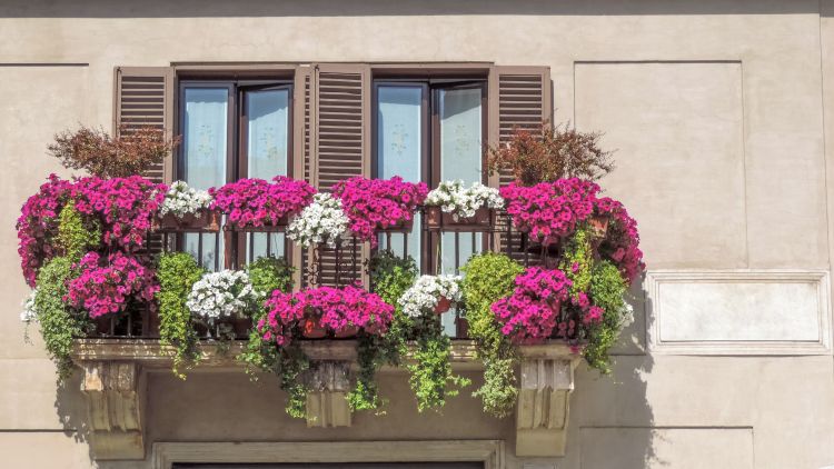balkon primer nagrade.jpg