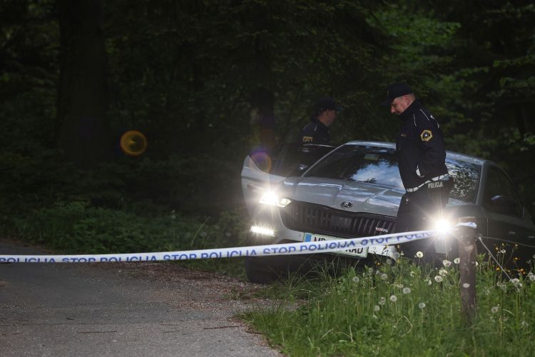 modrič, streljanje, policija