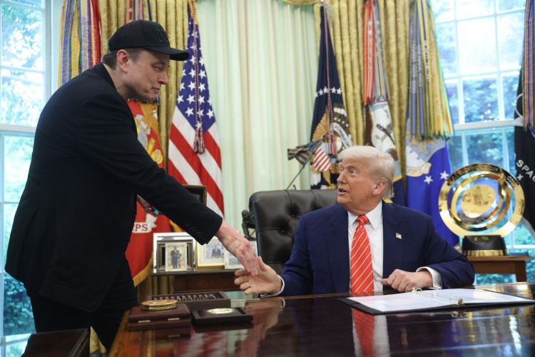 elon musk, donald trump