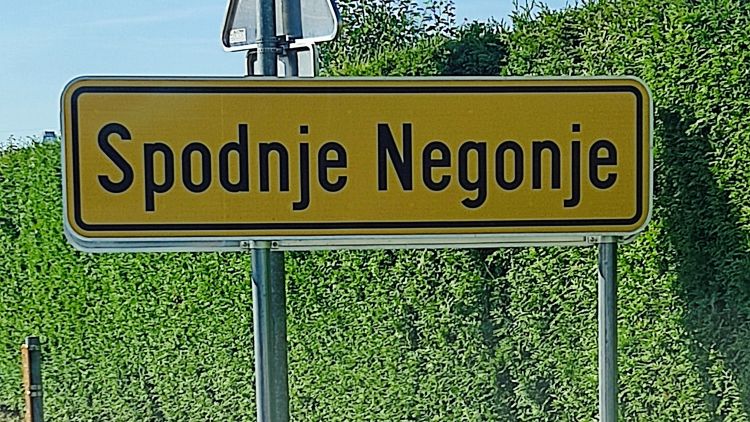 Spodnje Negonje