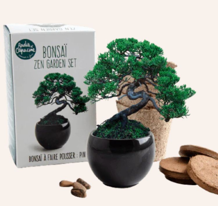 Bonsaji