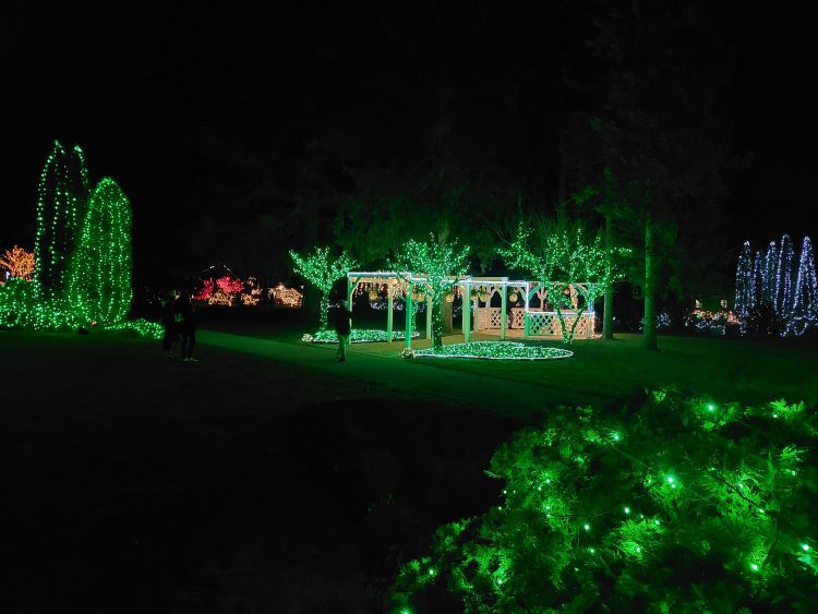 mozirski-gaj, advent