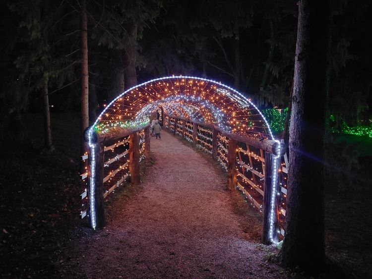 mozirski-gaj, advent