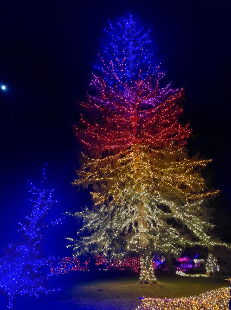 Posnetek zaslona 2025-12-09 134208.png