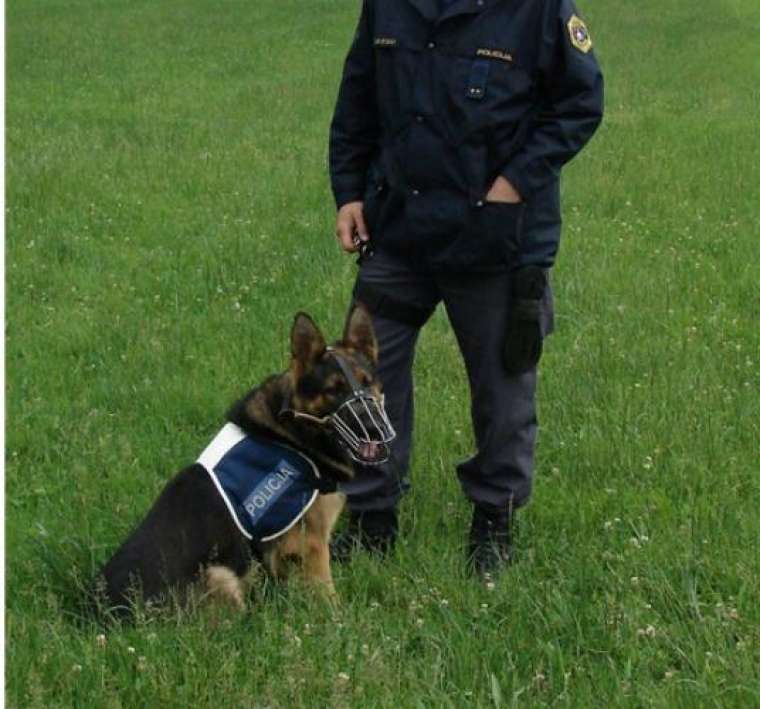 00 Policijski pes