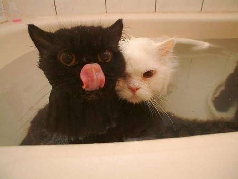 Foto: Pinterest
