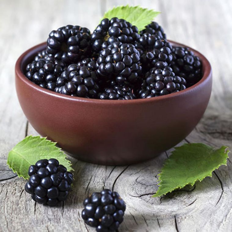 Robide vsebujejo pravo zakladnico vitamina C in A.