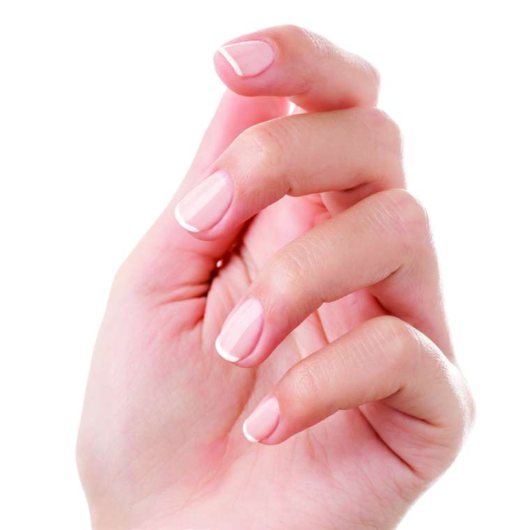 nohti-1-shutterstock_539405920.jpg