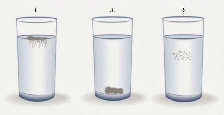 kandida test.jpg